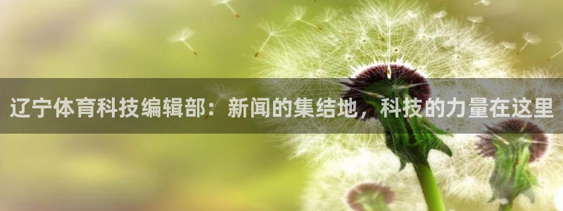 辽宁体育科技编辑部：新闻的集结地，科技的力量在这里