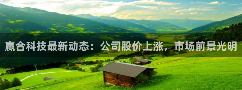 赢合科技最新动态：公司股价上涨，市场前景光明