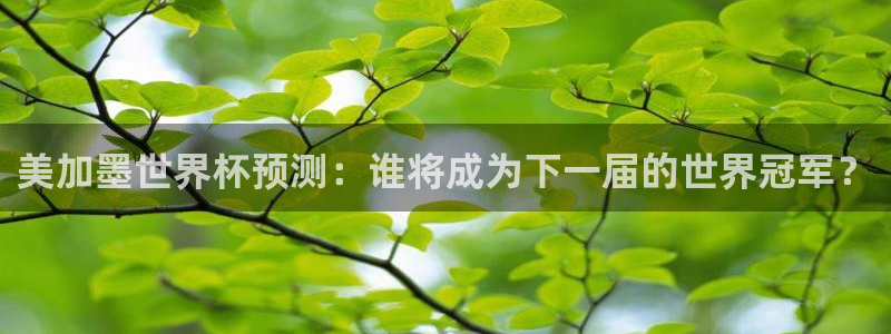 美加墨世界杯预测：谁将成为下一届的世界冠军？