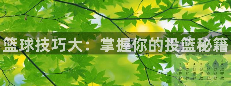 篮球技巧大：掌握你的投篮秘籍