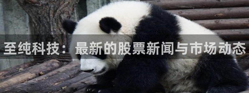 至纯科技：最新的股票新闻与市场动态