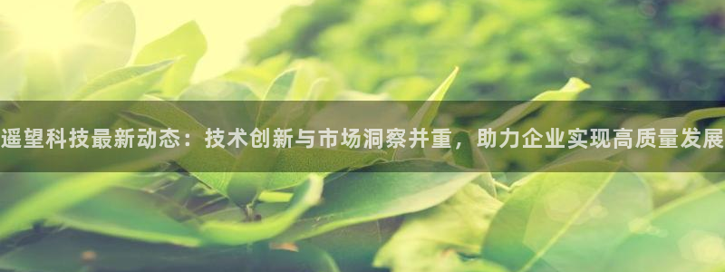 遥望科技最新动态：技术创新与市场洞察并重，助力企业实现高质量发展