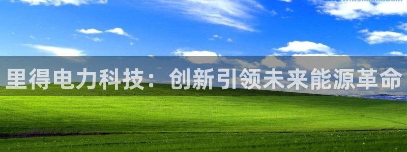 里得电力科技：创新引领未来能源革命