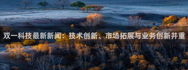 双一科技最新新闻：技术创新、市场拓展与业务创新并重