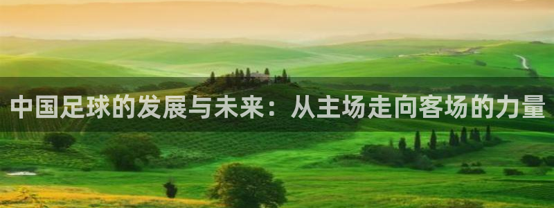 中国足球的发展与未来：从主场走向客场的力量