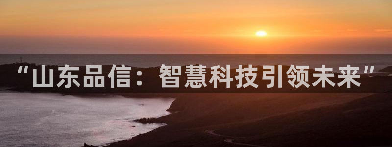 “山东品信：智慧科技引领未来”