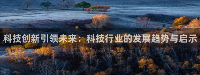 科技创新引领未来：科技行业的发展趋势与启示
