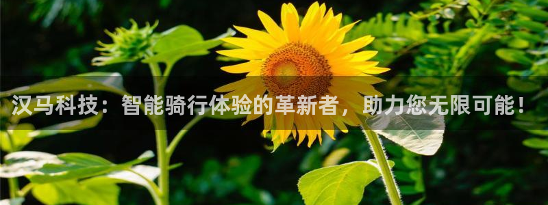 汉马科技：智能骑行体验的革新者，助力您无限可能！
