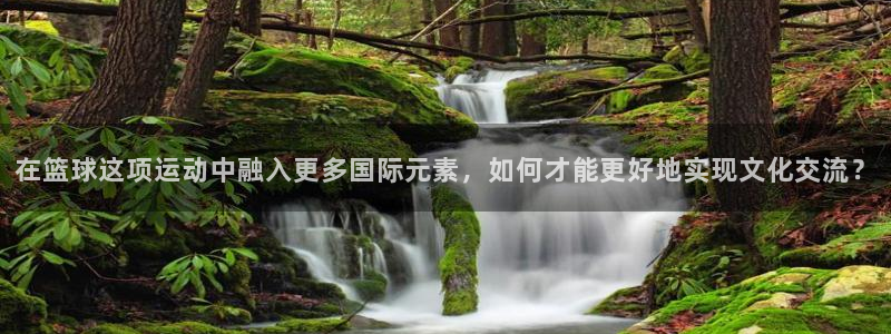 在篮球这项运动中融入更多国际元素，如何才能更好地实现文化交流？