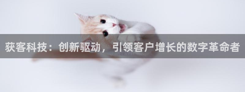 获客科技：创新驱动，引领客户增长的数字革命者