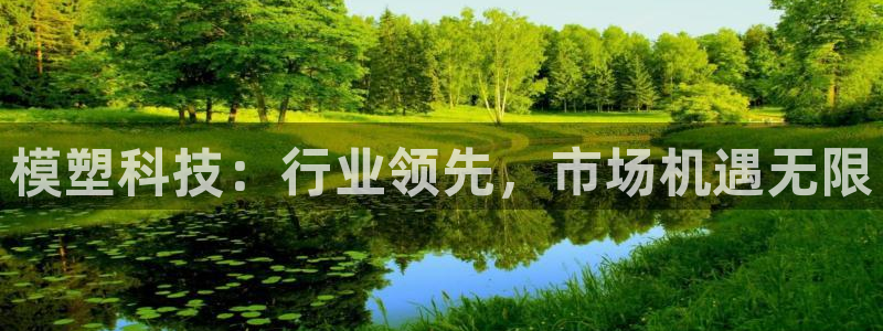 模塑科技：行业领先，市场机遇无限