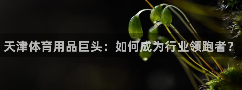 天津体育用品巨头：如何成为行业领跑者？