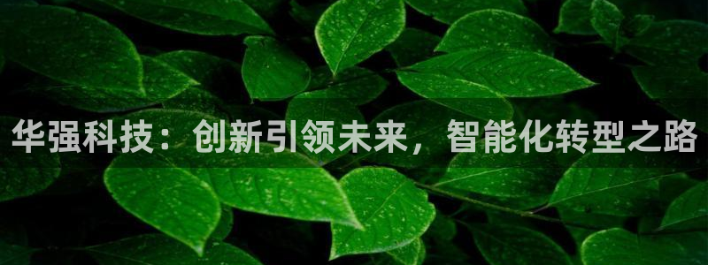 华强科技：创新引领未来，智能化转型之路