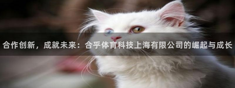 合作创新，成就未来：合乎体育科技上海有限公司的崛起与成长