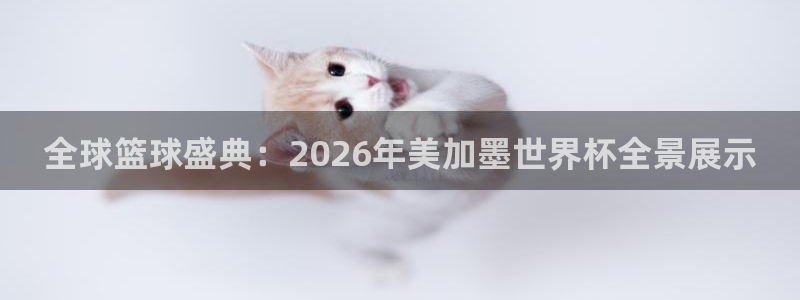 全球篮球盛典：2026年美加墨世界杯全景展示