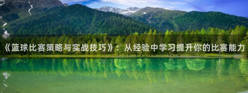《篮球比赛策略与实战技巧》：从经验中学习提升你的比赛能力