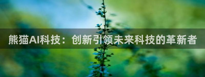 熊猫AI科技：创新引领未来科技的革新者