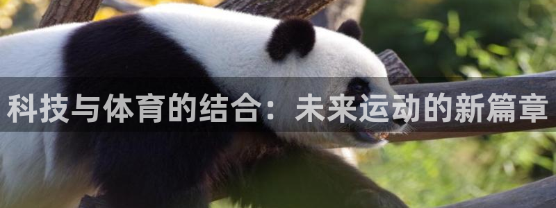 科技与体育的结合：未来运动的新篇章