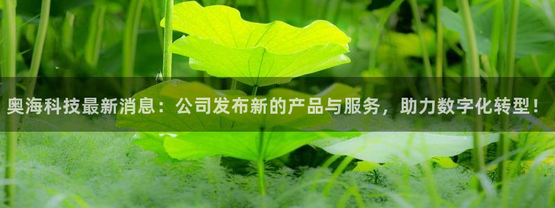 奥海科技最新消息：公司发布新的产品与服务，助力数字化转型！