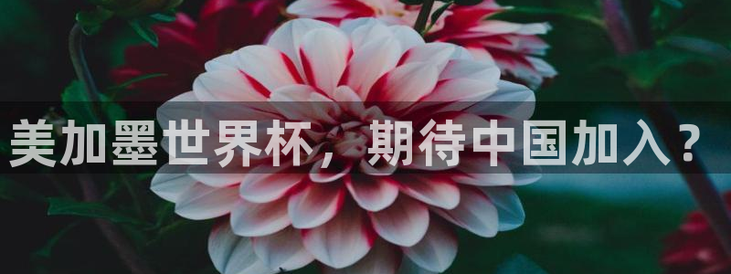 美加墨世界杯，期待中国加入？