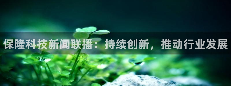 保隆科技新闻联播：持续创新，推动行业发展