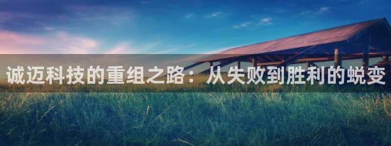 诚迈科技的重组之路：从失败到胜利的蜕变