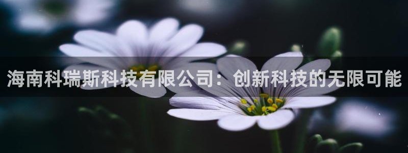 海南科瑞斯科技有限公司：创新科技的无限可能
