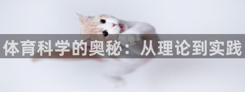 体育科学的奥秘：从理论到实践