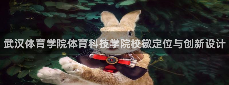 武汉体育学院体育科技学院校徽定位与创新设计