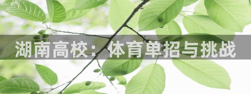 湖南高校：体育单招与挑战