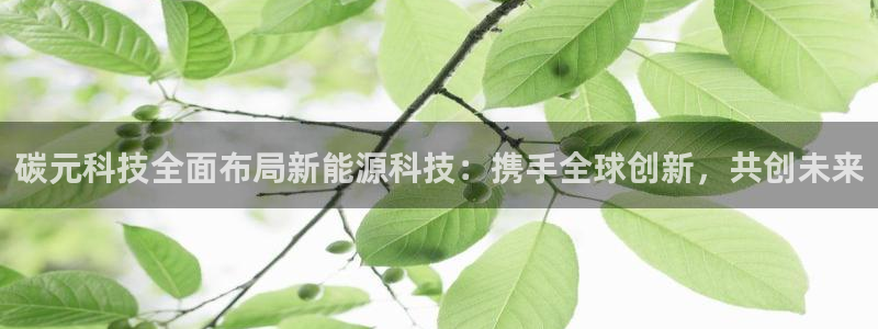 碳元科技全面布局新能源科技：携手全球创新，共创未来